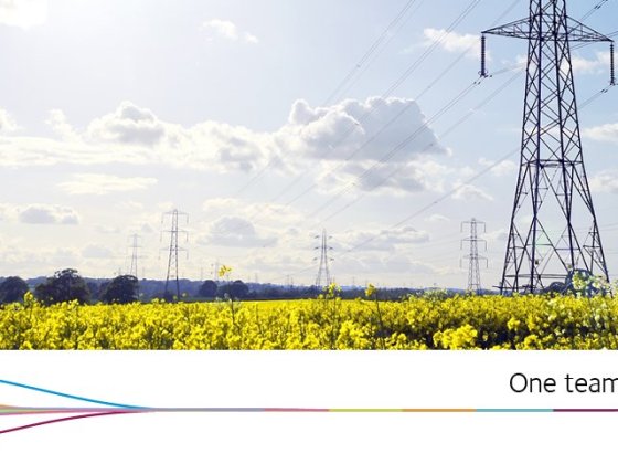 The Great Grid Upgrade (GGUP)